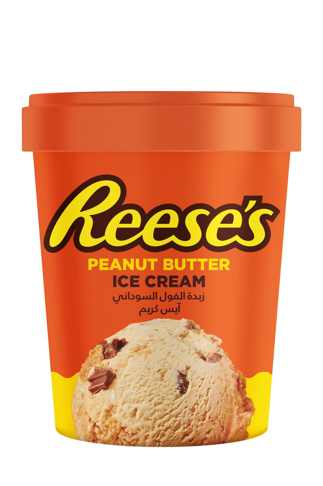 REESES PEANUT BUTTER TUB 450ML