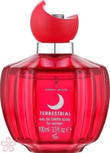DORALL COLLECTION TERRESTRIAL 100ML (Pack of 2)